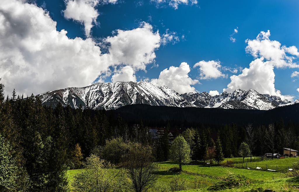 Zwijaczowka Bed & Breakfast ซาโกปาเน ภายนอก รูปภาพ